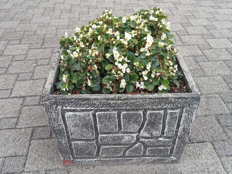 Voordelen van vierkante cortenstaal plantenbakken